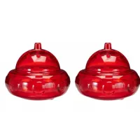 Fruitvliegjes vanger 2 stuks                           